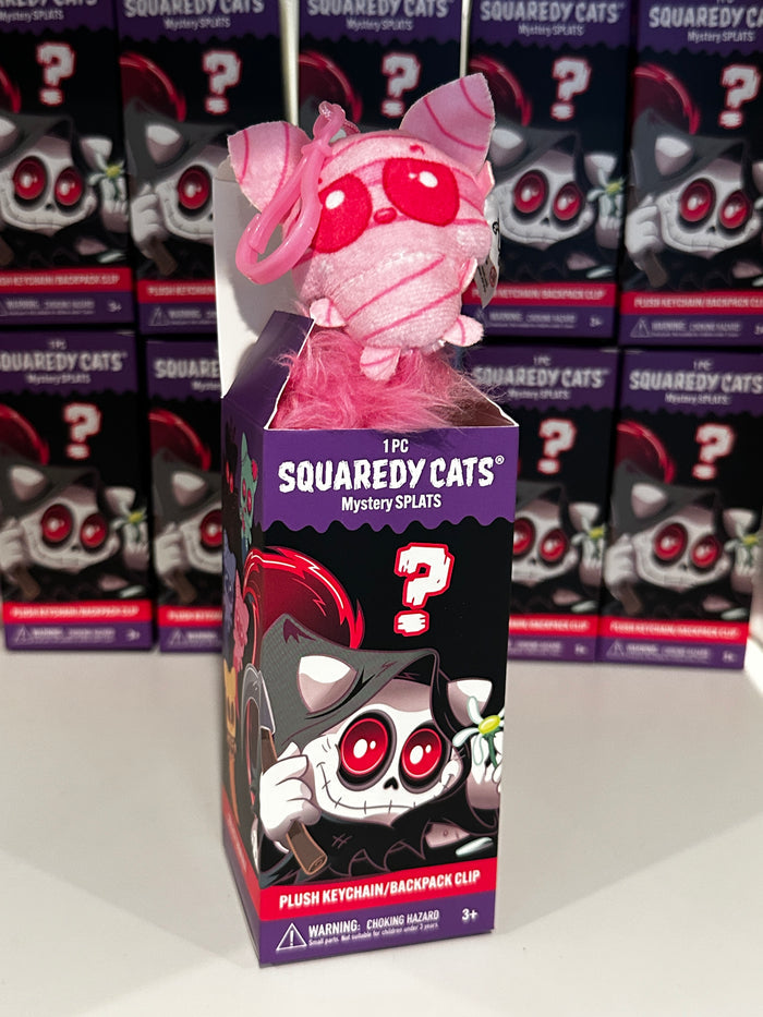Squaredy Cats plush keychain backpack clip mystery box
