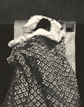 AP Gorny Print: Comforter