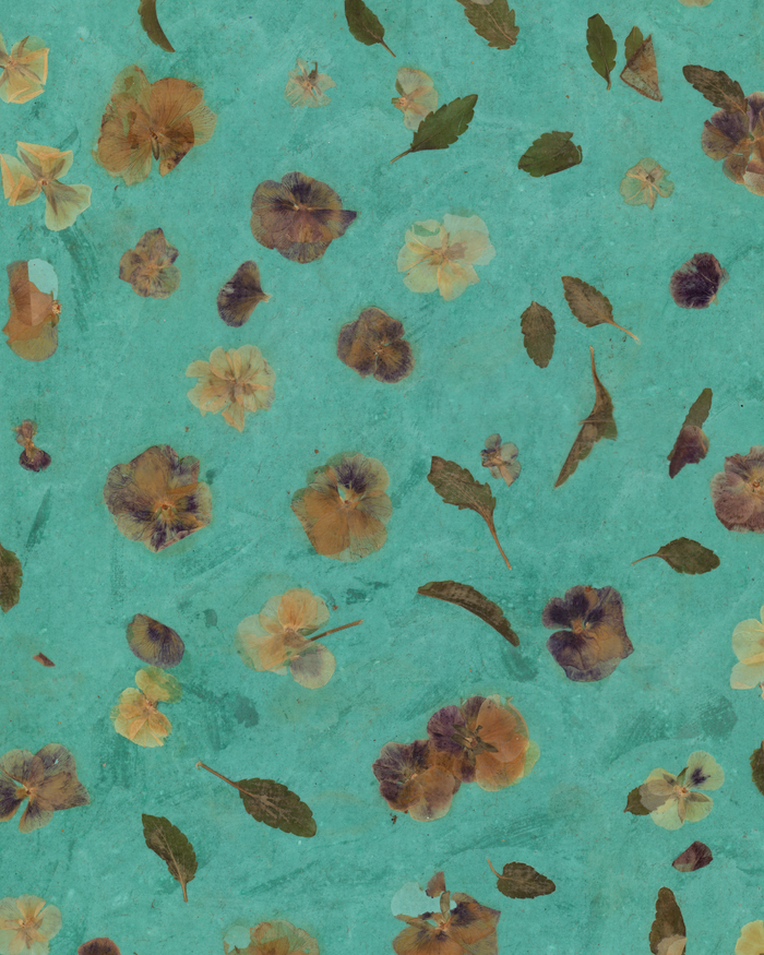 AP Gorny Print: Teal Flower Endpage