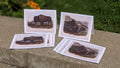 Audubon's Quadrupeds: Notecards (American Bison)