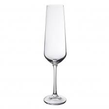 Champagne Glasses