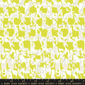 Explore - Citron