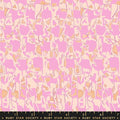 Explore - Pale Peach