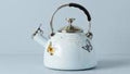 Lenox Tea Kettle