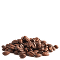 Les Cafés Dagobert -- Moka sidamo 100% arabica, bio et equitable - grains Vrac (origine Ethiopie) - 5 kg