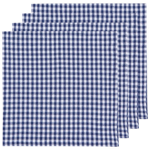Blue and White Check