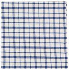 Blue  & White Plaid