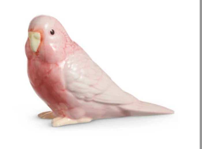 Parrots