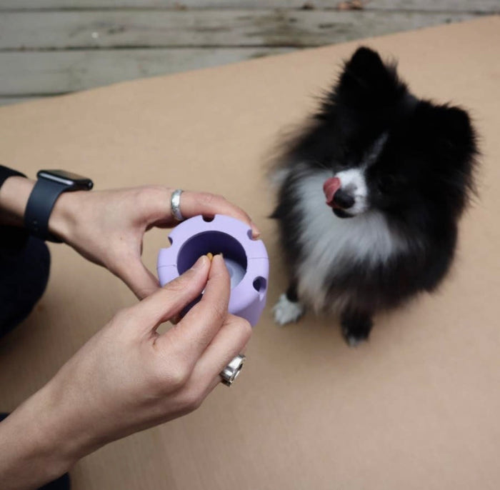 Pet Playtime Set