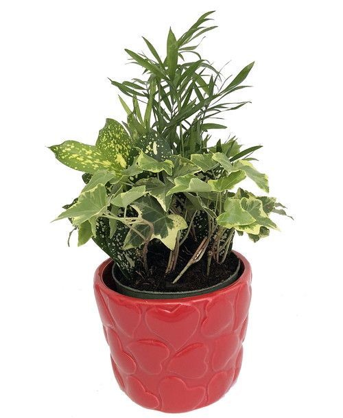 Planters