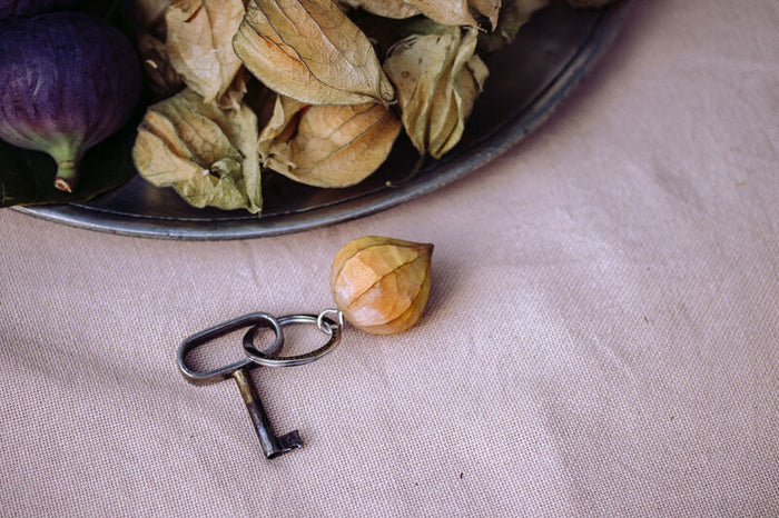 Schlüsselanhänger Physalis