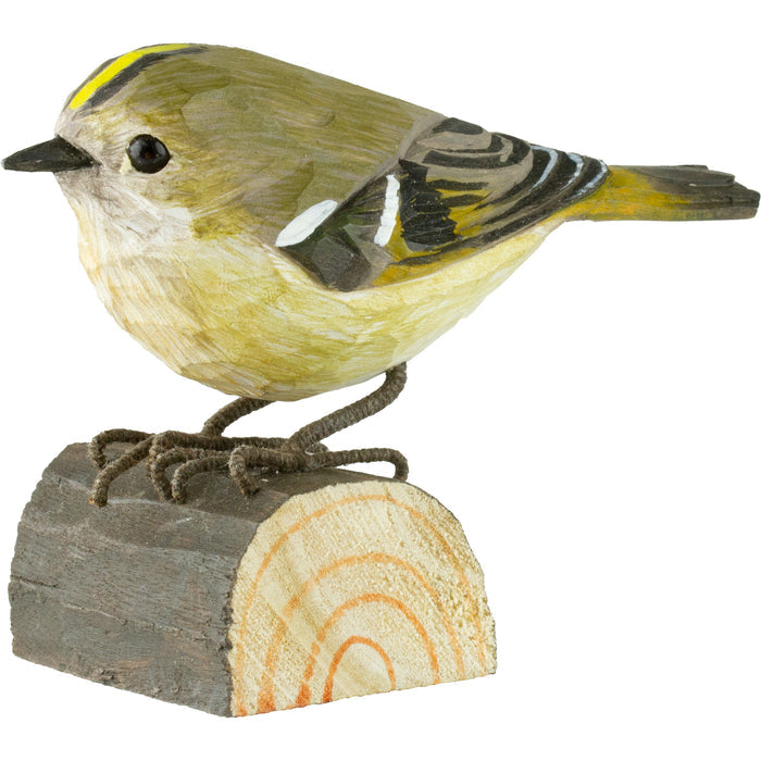 Wintergoldhähnchen